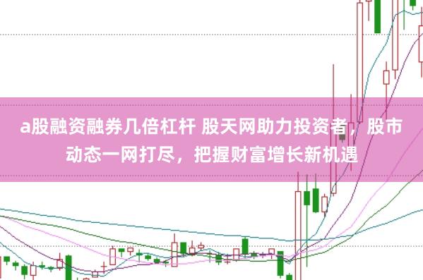 a股融资融券几倍杠杆 股天网助力投资者，股市动态一网打尽，把握财富增长新机遇