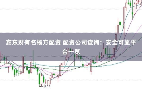 鑫东财有名杨方配资 配资公司查询：安全可靠平台一览